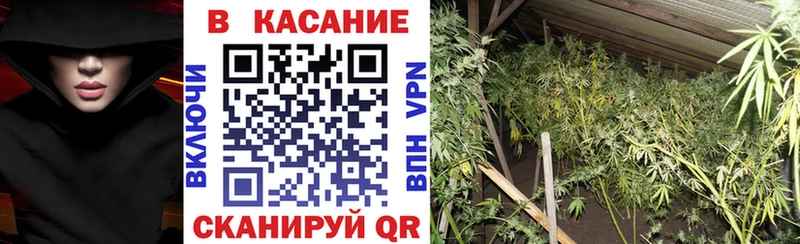 Где купить наркотики Устюжна Псилоцибиновые грибы  Кокаин  Codein  Конопля  Меф 