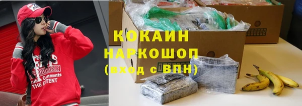 хмурый Абаза