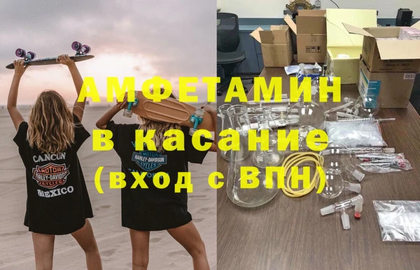 хмурый Абаза