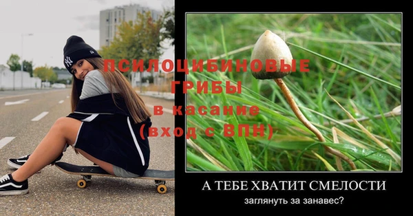 хмурый Абаза