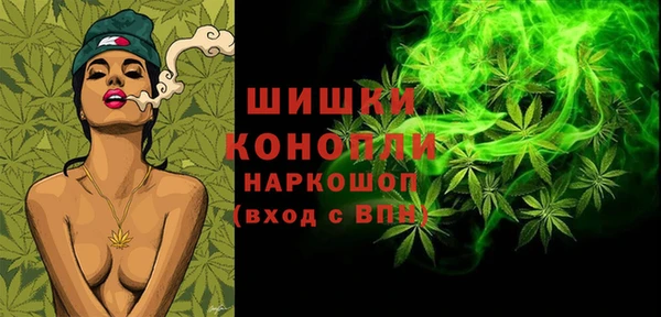 хмурый Абаза