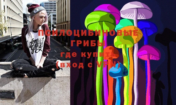 ПСИЛОЦИБИНОВЫЕ ГРИБЫ Абдулино