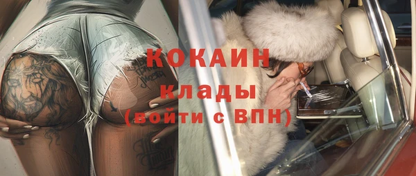 хмурый Абаза