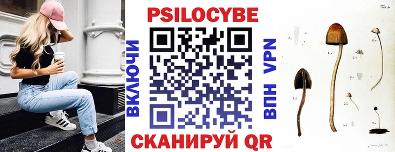 Псилоцибиновые грибы Psilocybe  Устюжна 